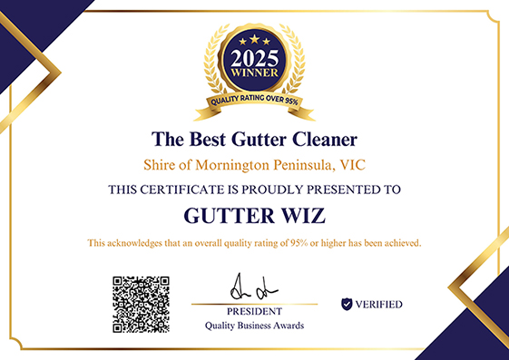 Award Winning Gutter Cleaning Wiz best-gutter-cleaners